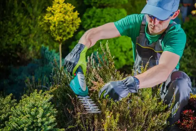 landscaping services Monroe